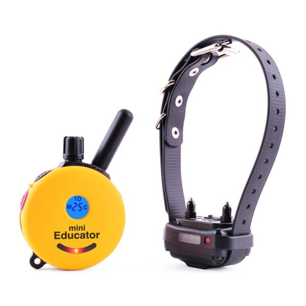 ET-300 Mini Educator