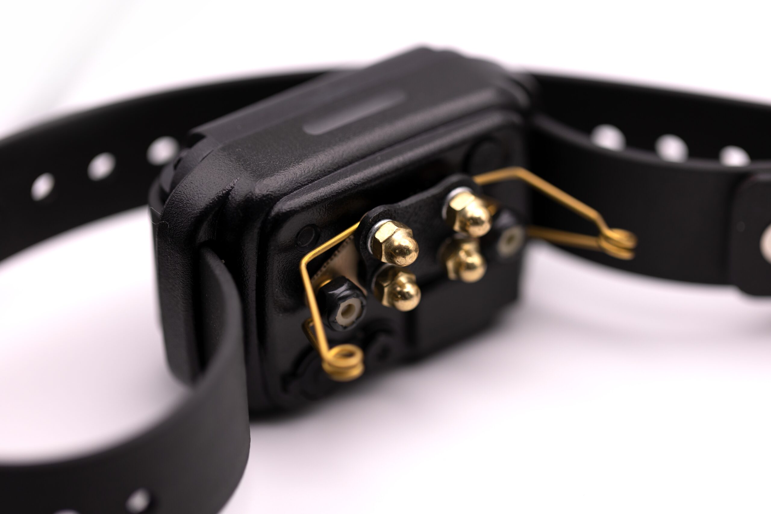 3/4″ Bungee Collar Strap (33″ Length)